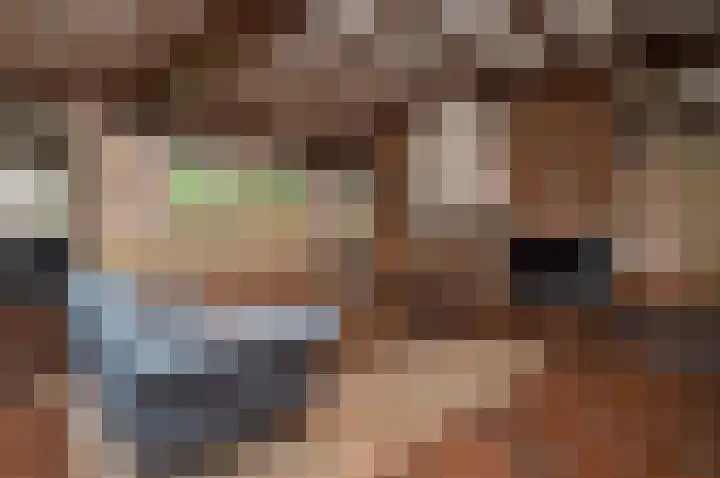 Reeksenakker 4 Deurne thumbnail 16