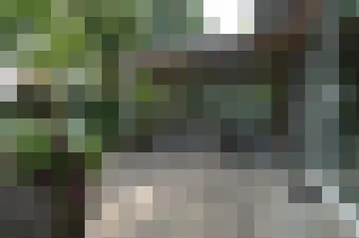 Reeksenakker 4 Deurne thumbnail 38