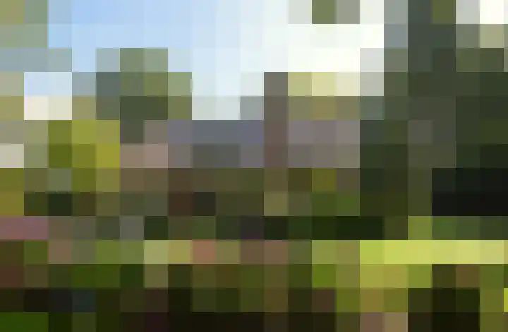 Reeksenakker 4 Deurne thumbnail 39