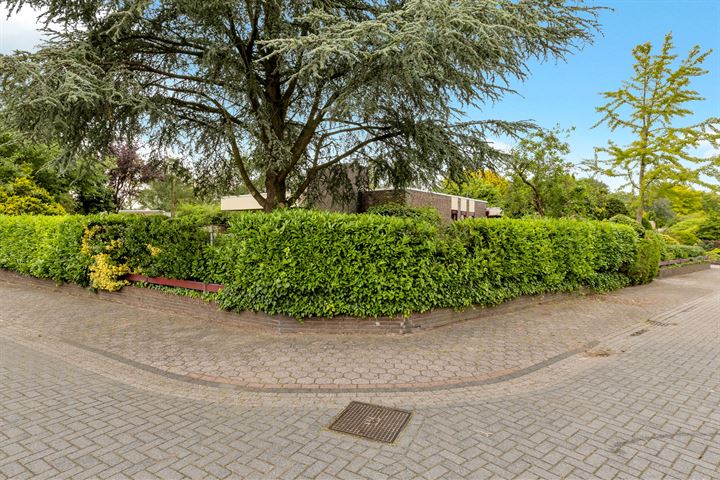 Reelaan 2 in Winschoten foto