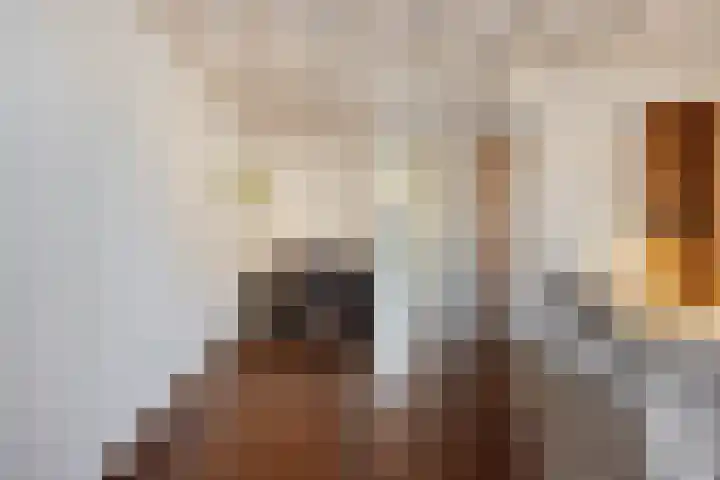 Reenstraat 5 Bergeijk thumbnail 11