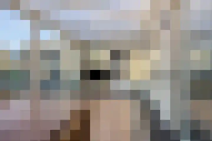 Reenstraat 5 Bergeijk thumbnail 15