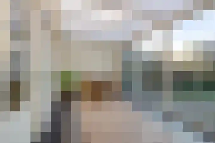 Reenstraat 5 Bergeijk thumbnail 16