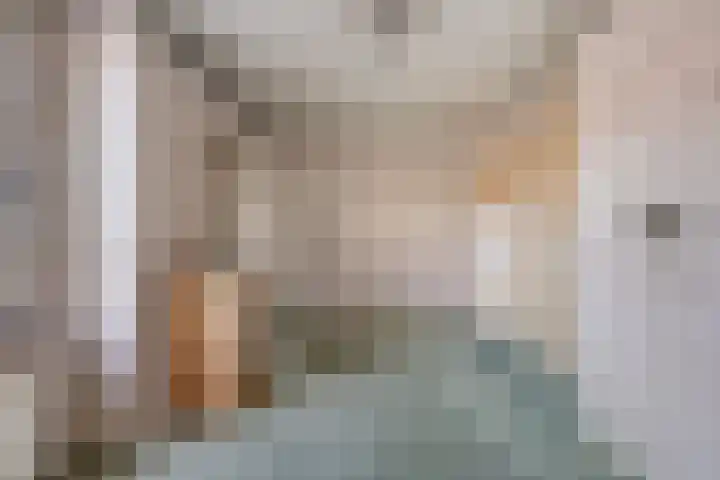 Reenstraat 5 Bergeijk thumbnail 19