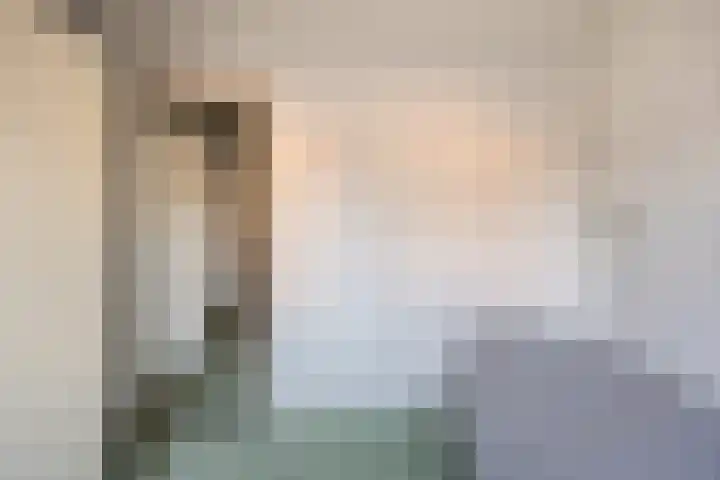 Reenstraat 5 Bergeijk thumbnail 23