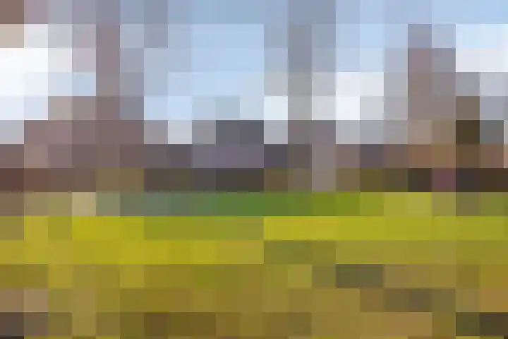 Reenstraat 5 Bergeijk thumbnail 29