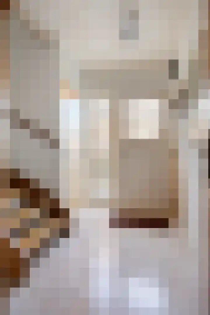 Reenstraat 5 Bergeijk thumbnail 5