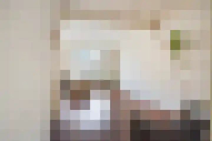 Reenstraat 5 Bergeijk thumbnail 8