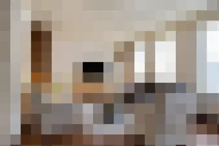 Reenstraat 5 Bergeijk thumbnail 9