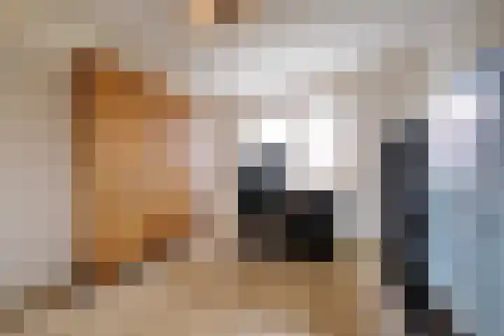 Reeshofbos 13 Ede thumbnail 13