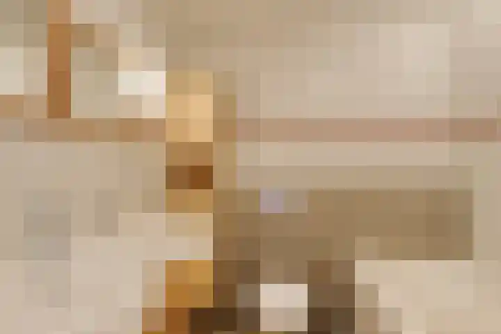 Reeshofbos 13 Ede thumbnail 17