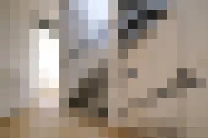 Reeshofbos 13 Ede thumbnail 19