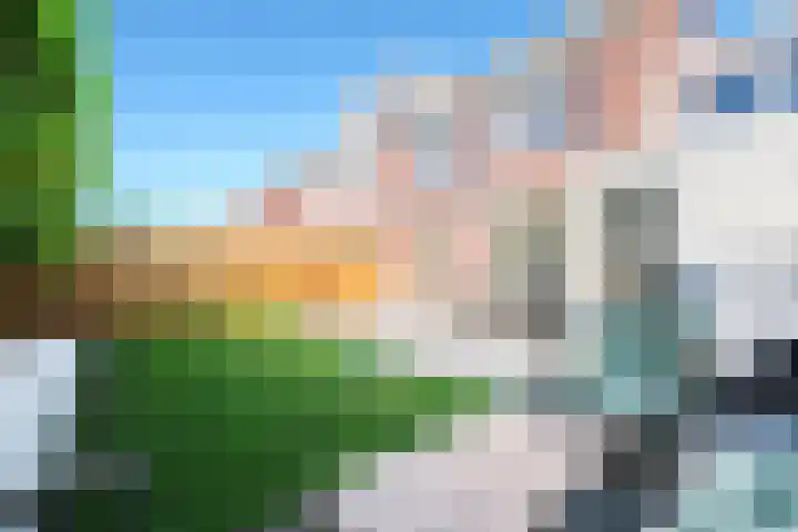 Reeshofbos 13 Ede thumbnail 27