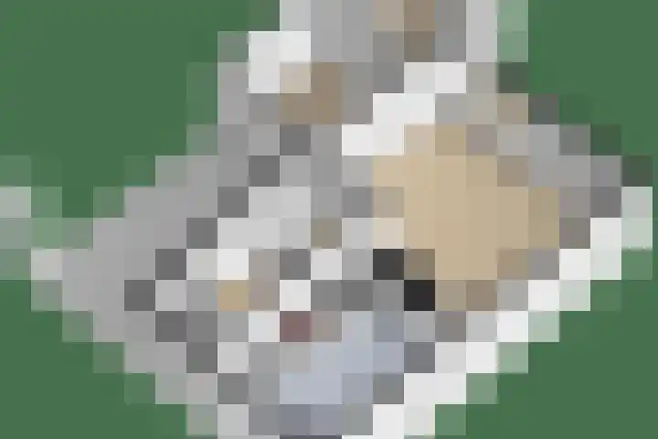 Reeshofbos 13 Ede thumbnail 33