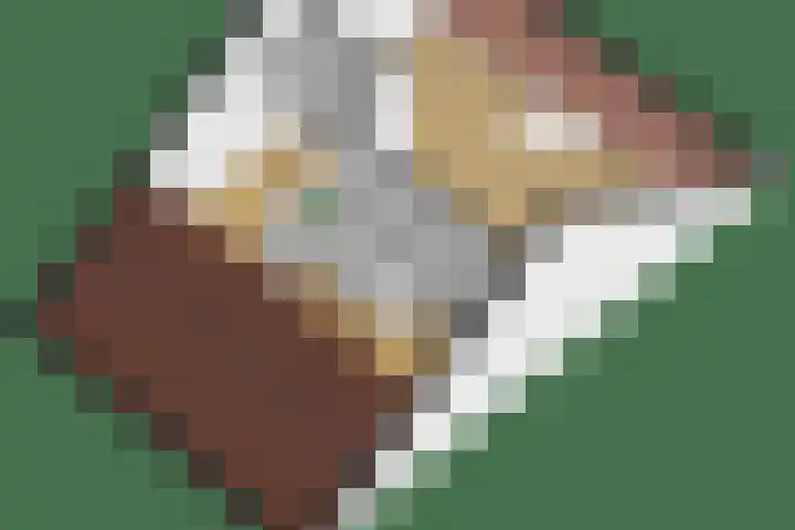 Reeshofbos 13 Ede thumbnail 35