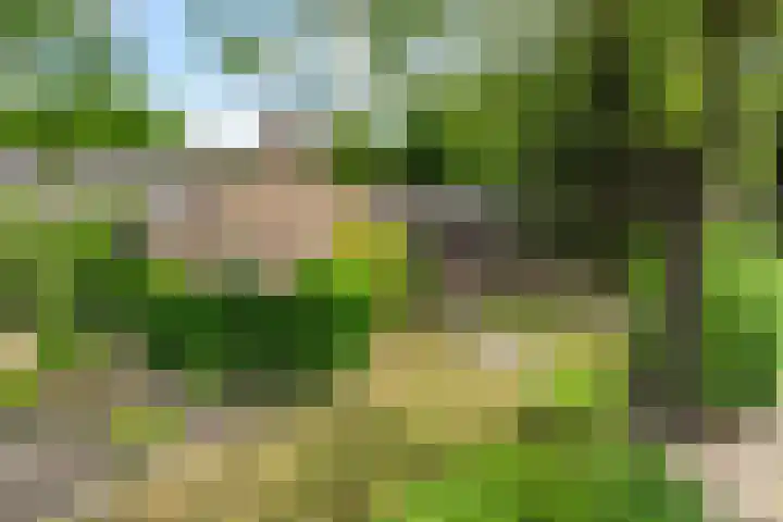 Reeshofbos 13 Ede thumbnail 8