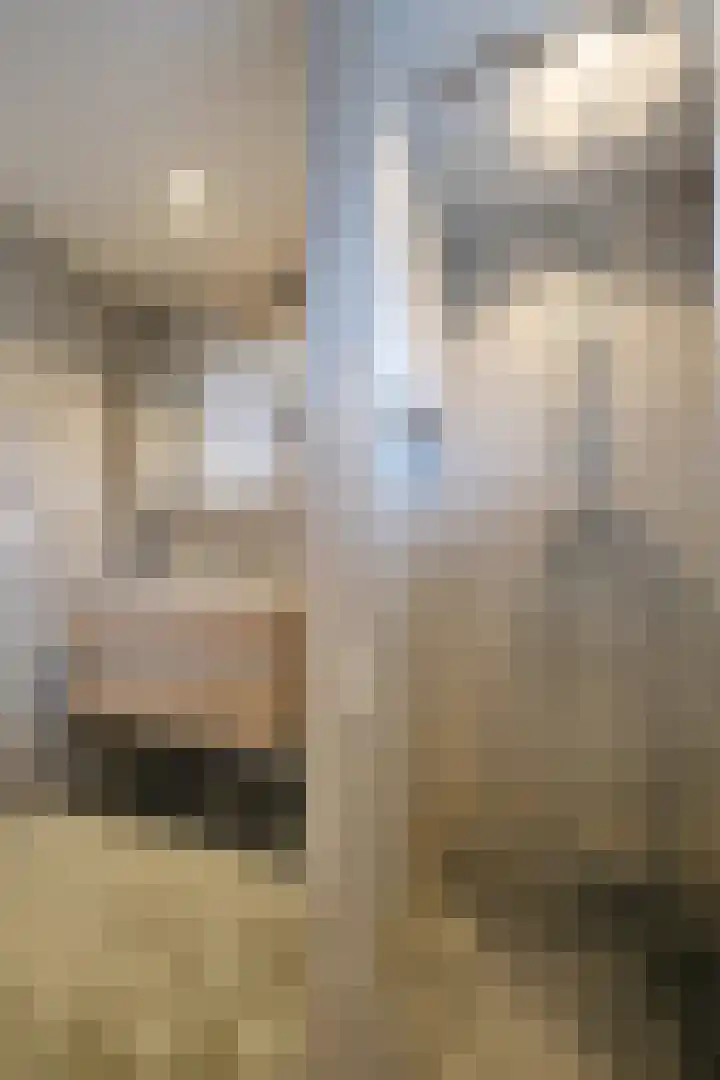 Reeshofbos 6 Ede thumbnail 21
