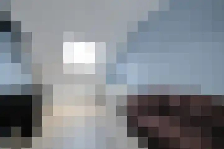 Reeshofbos 6 Ede thumbnail 25