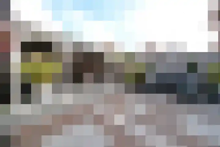 Reeshofbos 6 Ede thumbnail 28