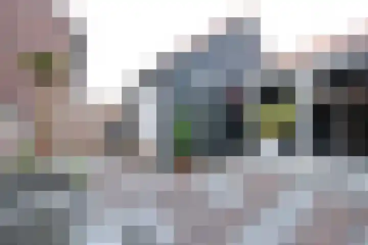 Reeshofbos 6 Ede thumbnail 31