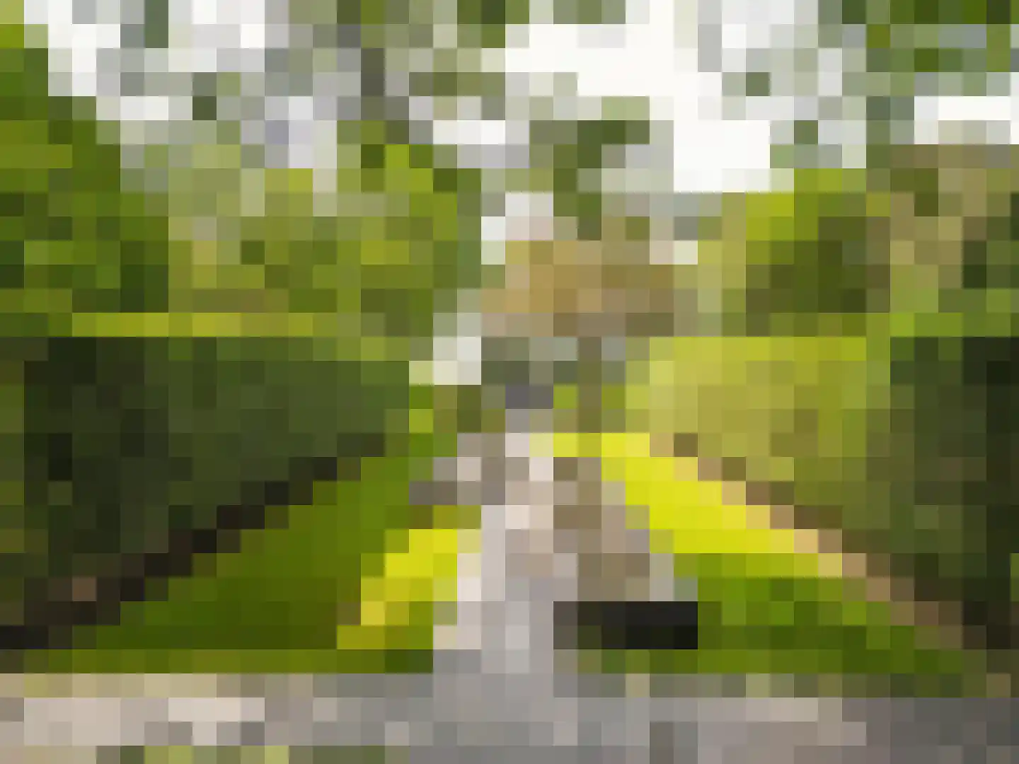 Reeshofdijk 15 Tilburg thumbnail 12