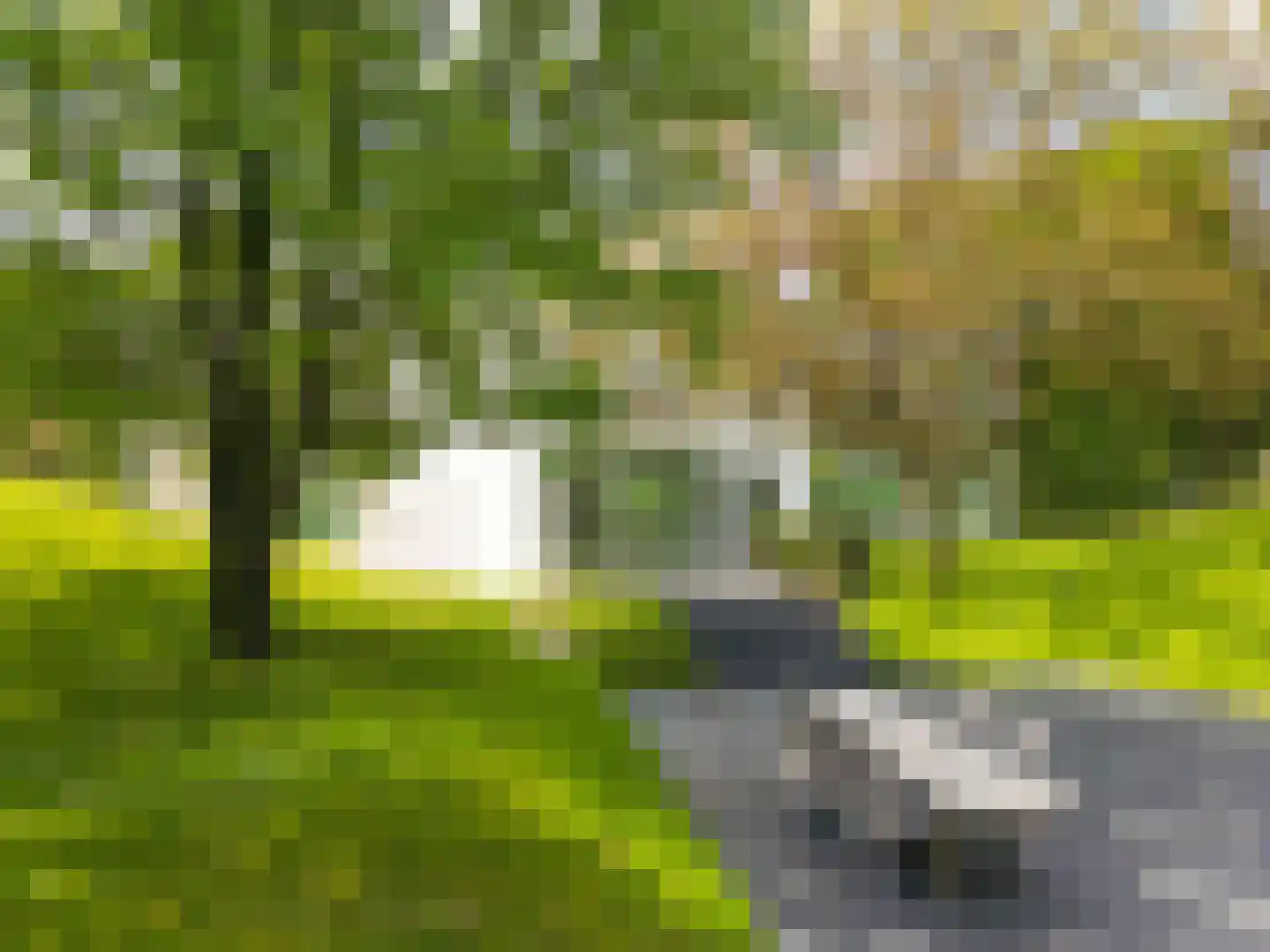 Reeshofdijk 15 Tilburg thumbnail 14