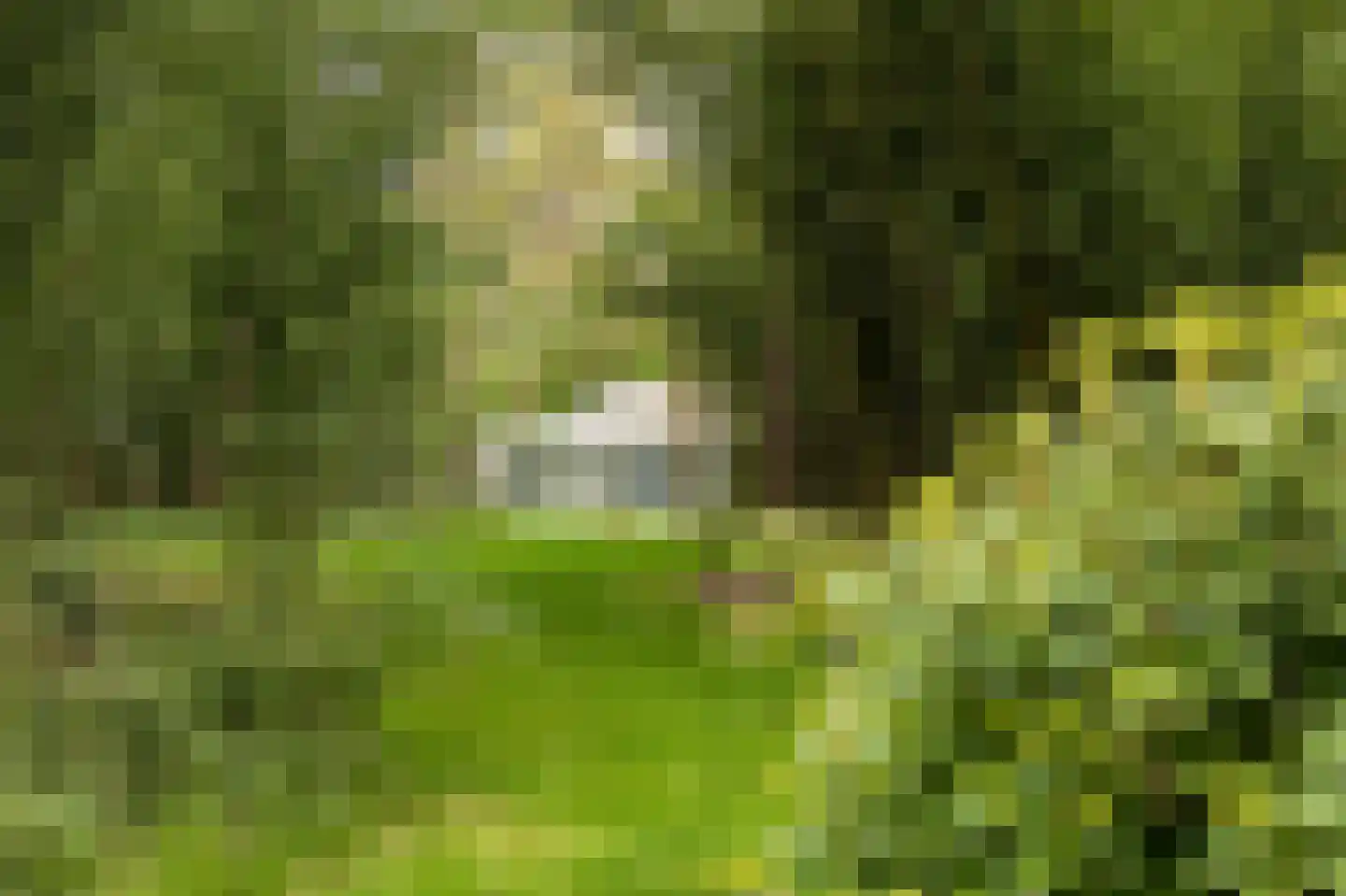 Reeshofdijk 15 Tilburg thumbnail 18