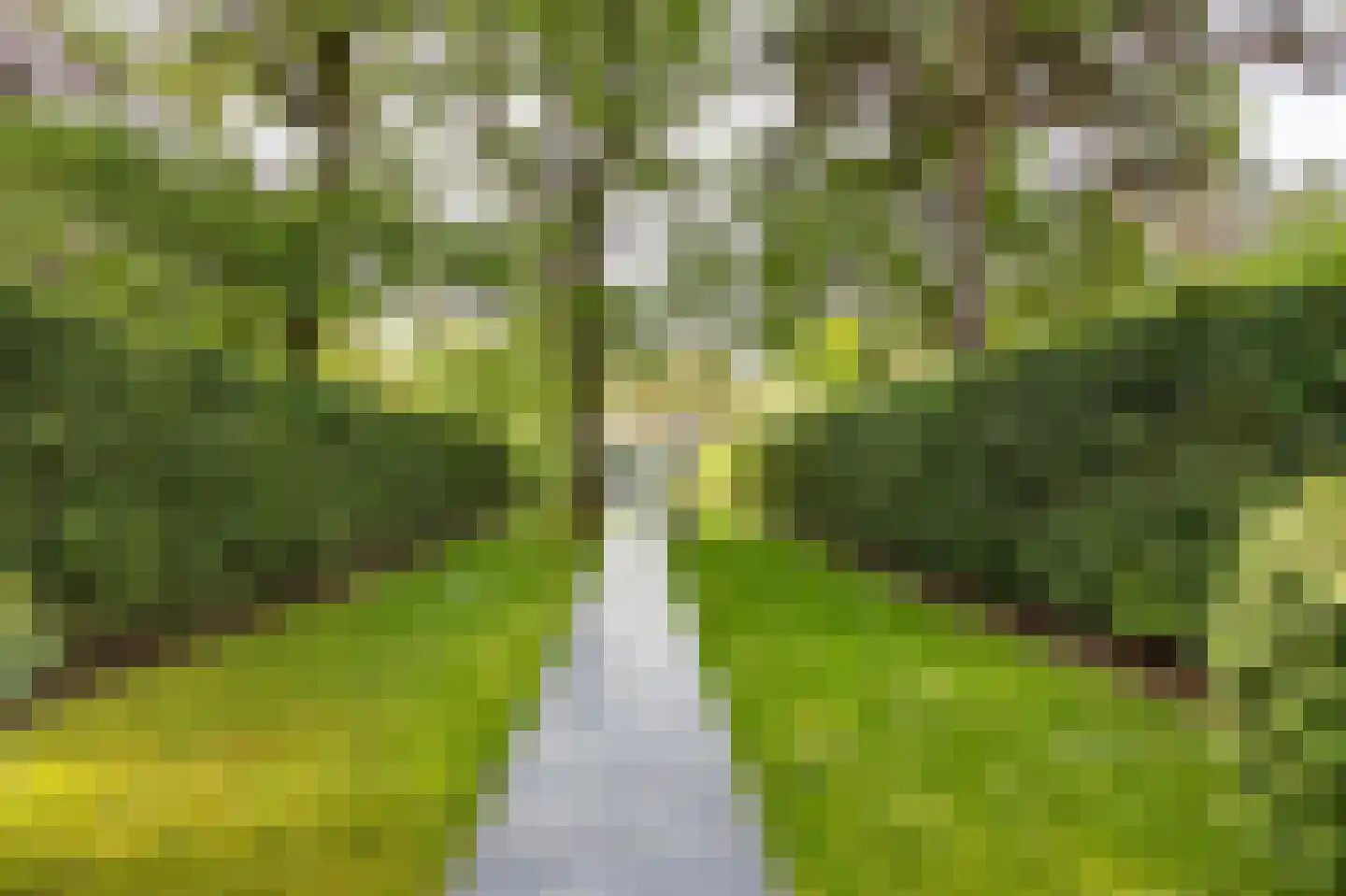 Reeshofdijk 15 Tilburg thumbnail 19