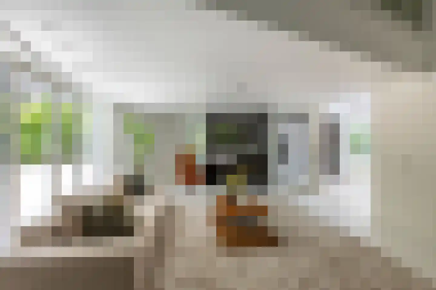 Reeshofdijk 15 Tilburg thumbnail 28