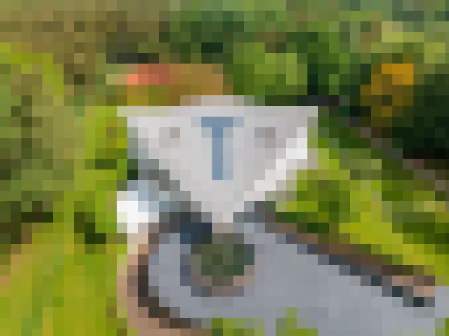 Reeshofdijk 15 Tilburg thumbnail 5
