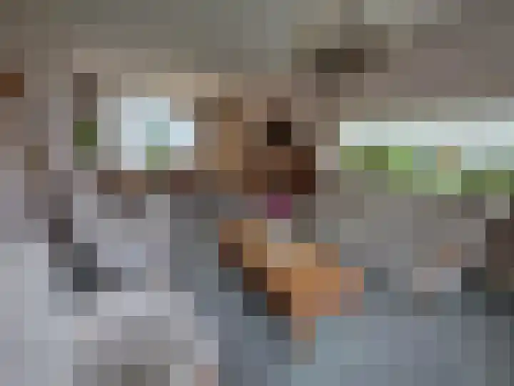 Reesloot 13 Pijnacker thumbnail 10