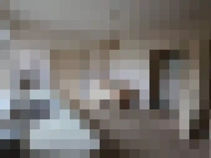 Reesloot 13 Pijnacker thumbnail 13