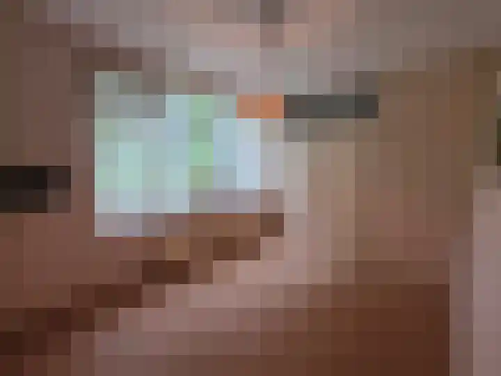 Reesloot 13 Pijnacker thumbnail 15