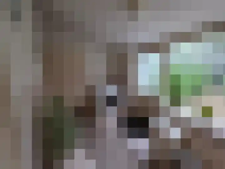 Reesloot 13 Pijnacker thumbnail 17