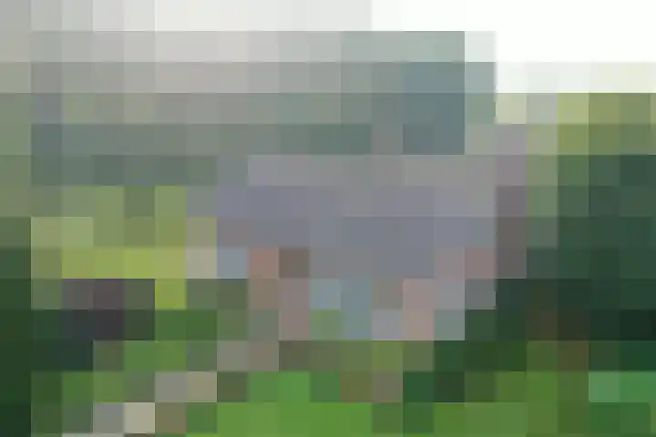 Reesloot 13 Pijnacker foto 2