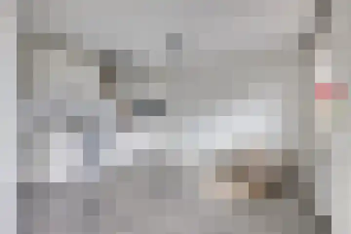 Reesloot 13 Pijnacker thumbnail 24