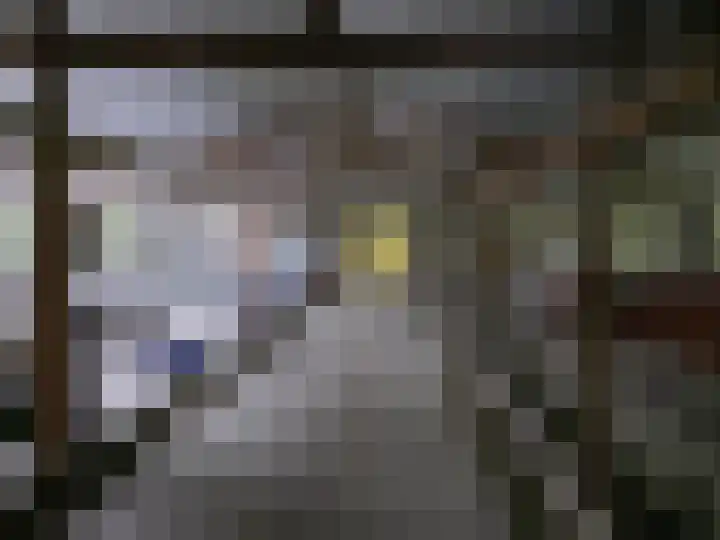 Reesloot 13 Pijnacker thumbnail 24
