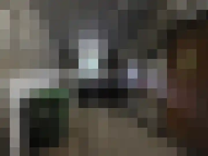 Reesloot 13 Pijnacker thumbnail 27