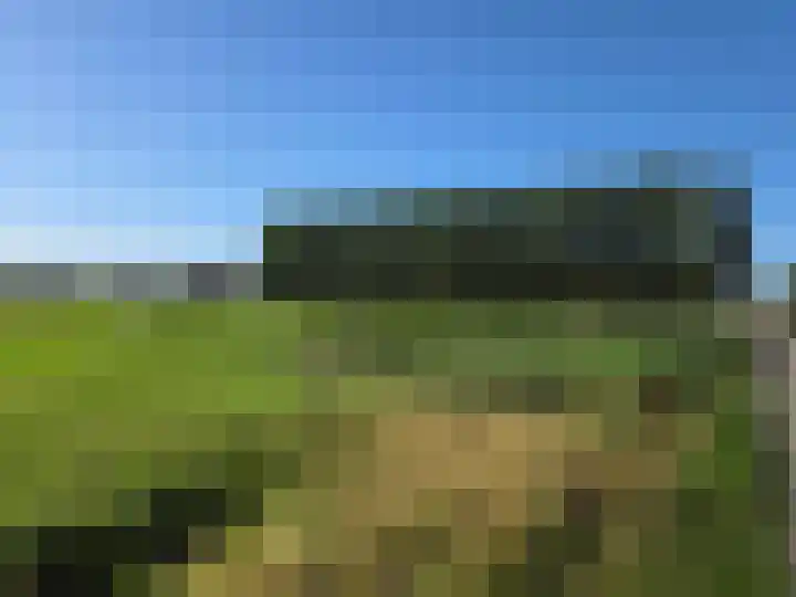 Reesloot 13 Pijnacker thumbnail 31