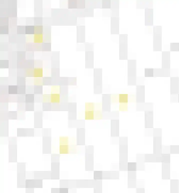 Reesloot 13 Pijnacker thumbnail 34