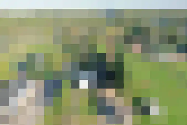 Reesloot 13 Pijnacker thumbnail 4