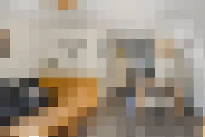 Reesloot 13 Pijnacker thumbnail 5