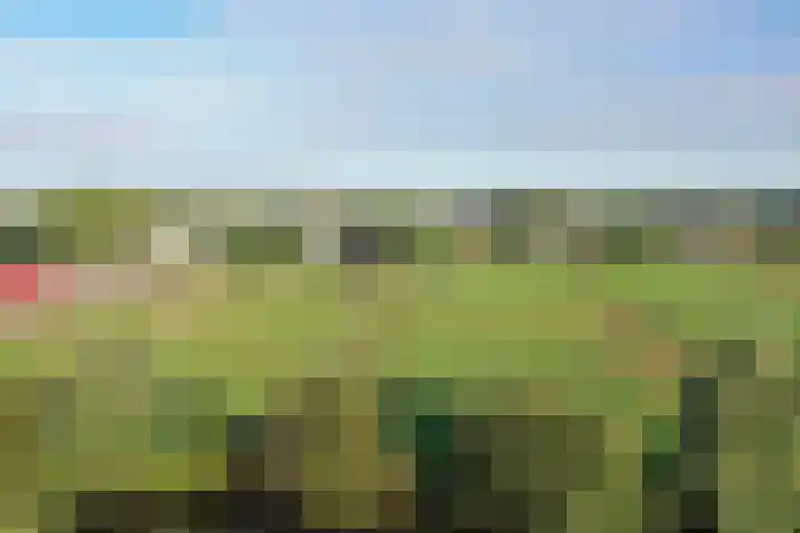 Reesloot 13 Pijnacker thumbnail 5