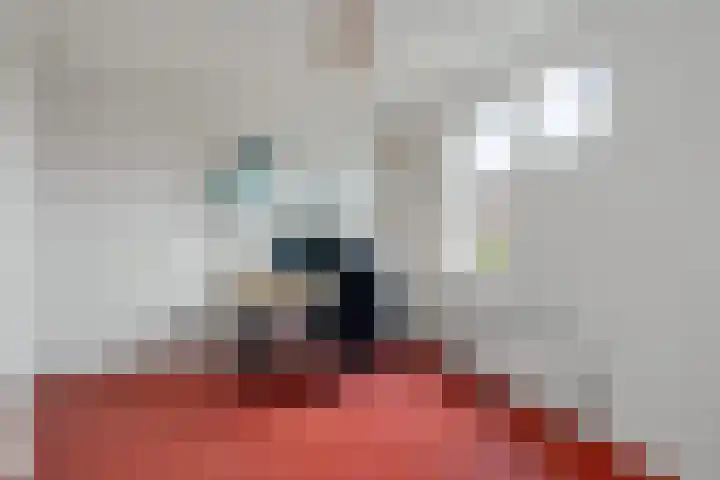 Reespoor 50 Soest thumbnail 14