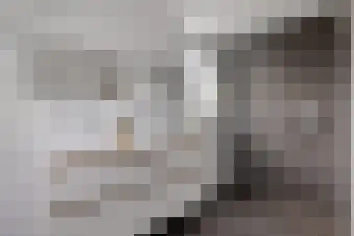 Reespoor 50 Soest thumbnail 17
