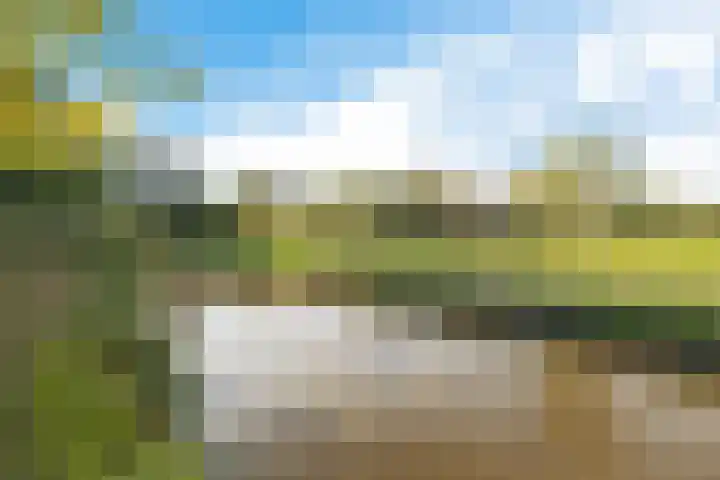 Reespoor 50 Soest foto 2