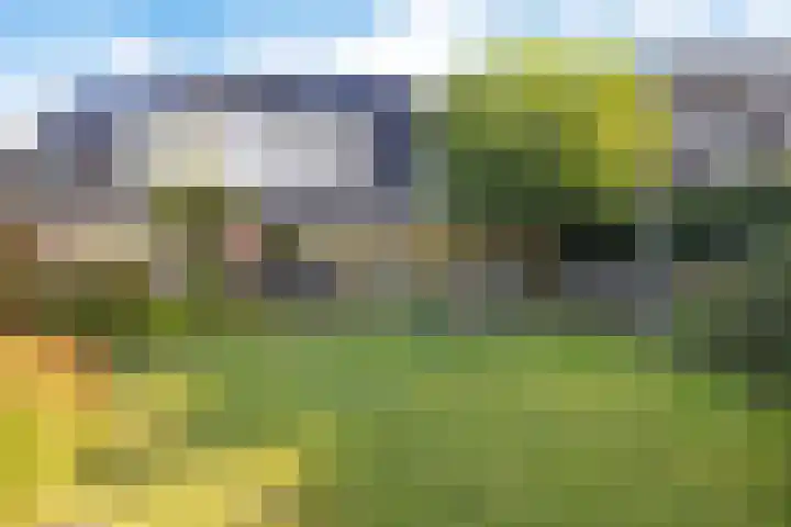 Reespoor 50 Soest thumbnail 22