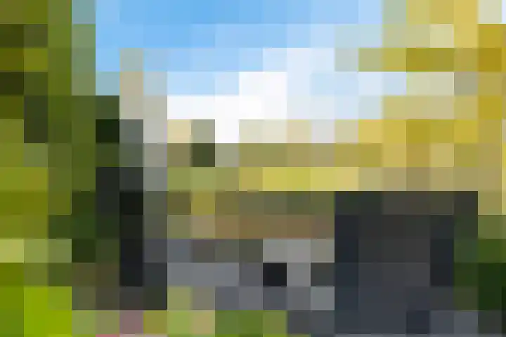 Reespoor 50 Soest thumbnail 23