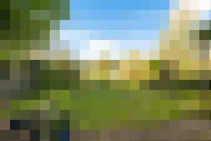 Reespoor 50 Soest thumbnail 24