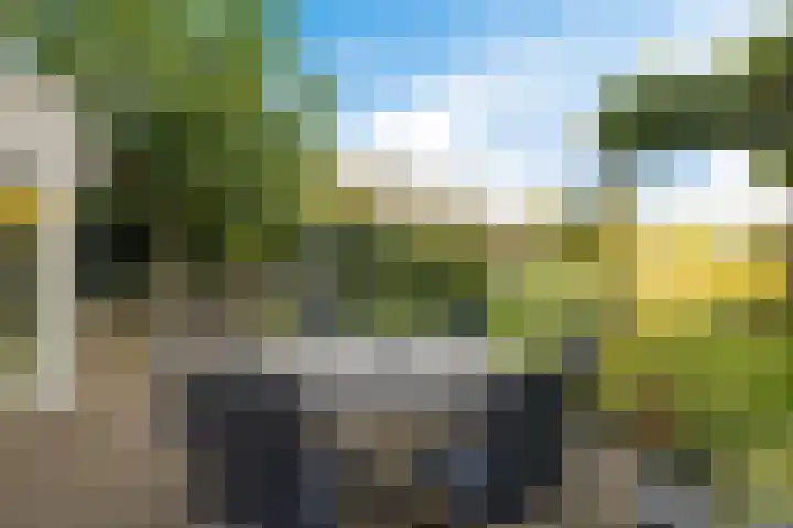 Reespoor 50 Soest thumbnail 25